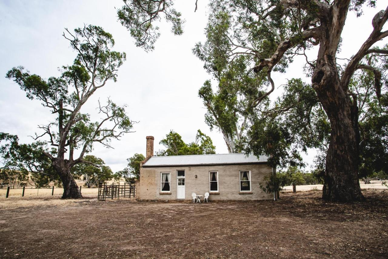 Ravenswood Homestead מראה חיצוני תמונה